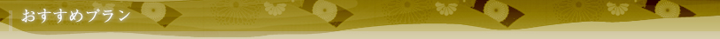 期間限定おすすめプラン